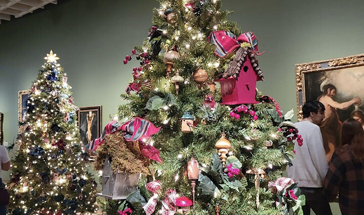 christmas tree from the festival of trees